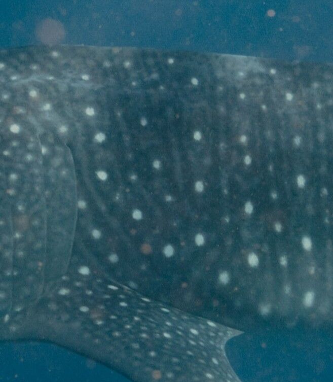 5acf5891-f105-45c7-8787-72444affe42b