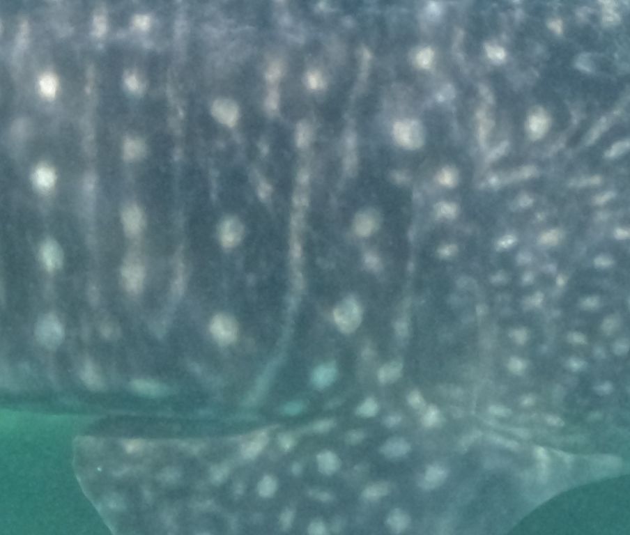 aa9eb8ef-269f-4326-b97b-92cf5041ed89