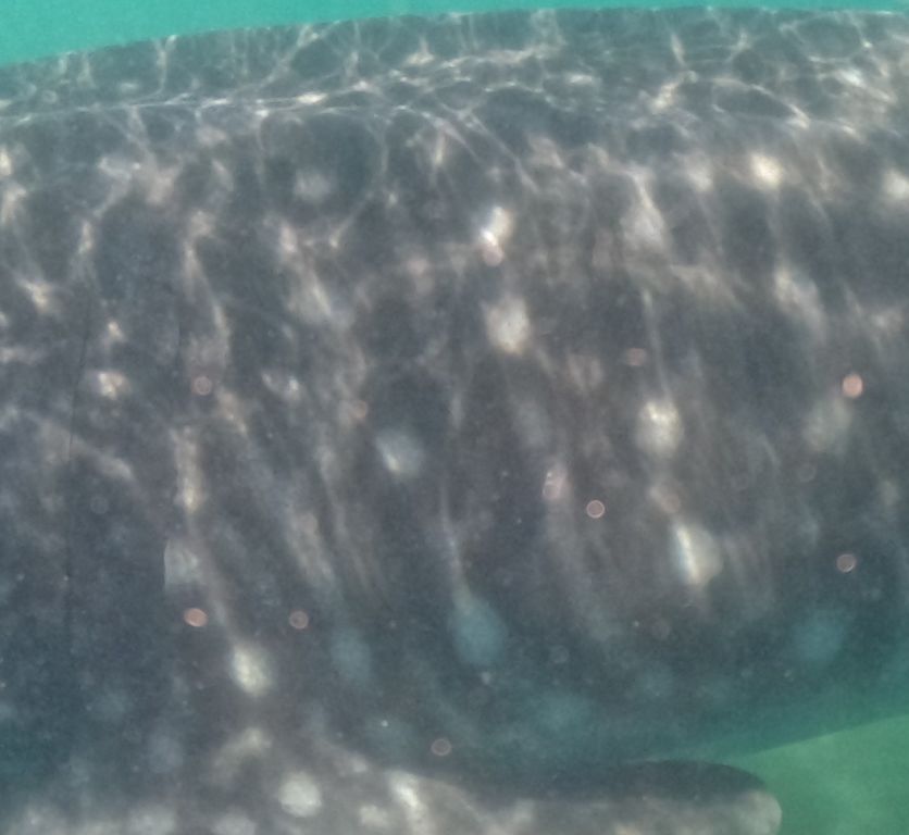 aa9eb8ef-269f-4326-b97b-92cf5041ed89