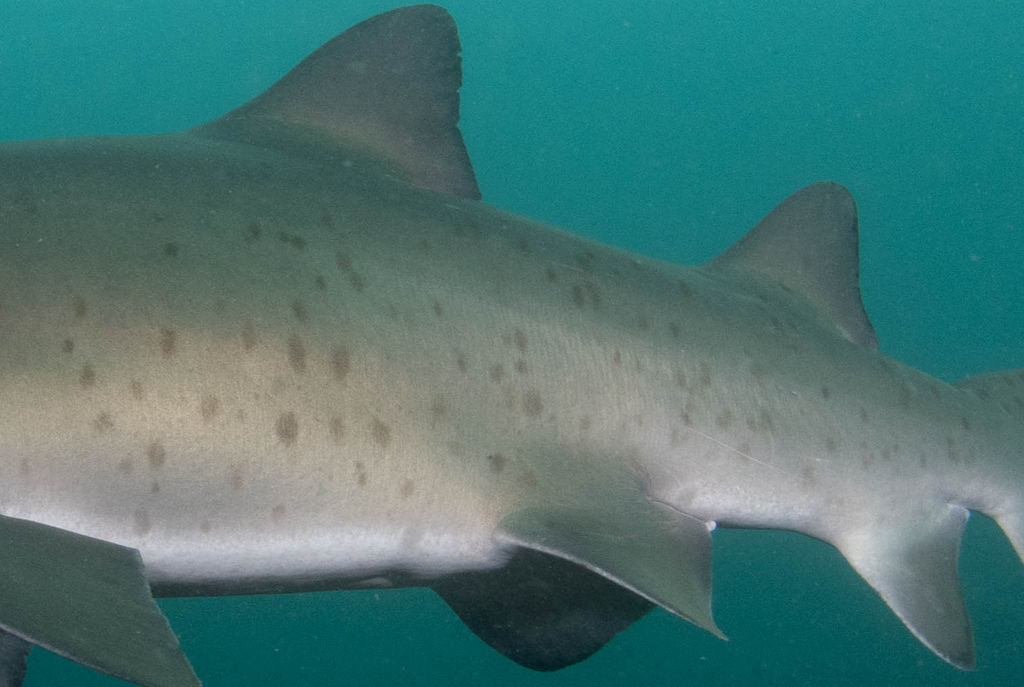 8dbc7c08-80bd-4bef-b925-2408633ee6ad