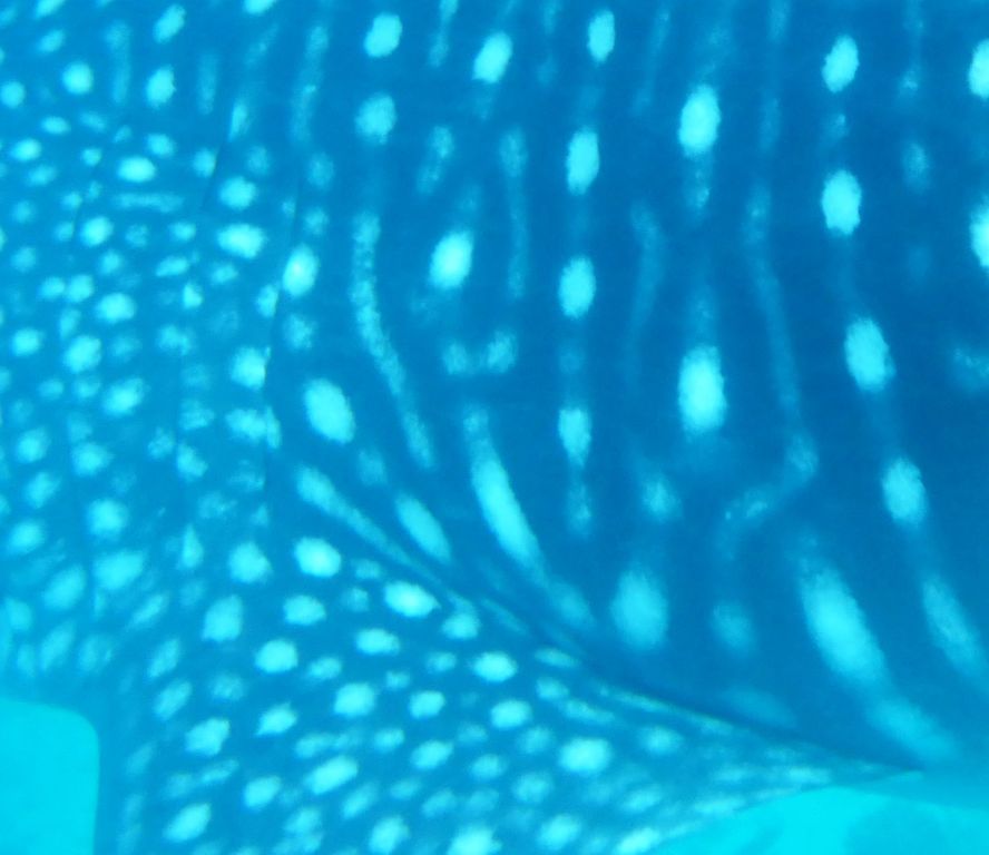 8de77b23-5926-46f2-966d-c833b1a1afa2