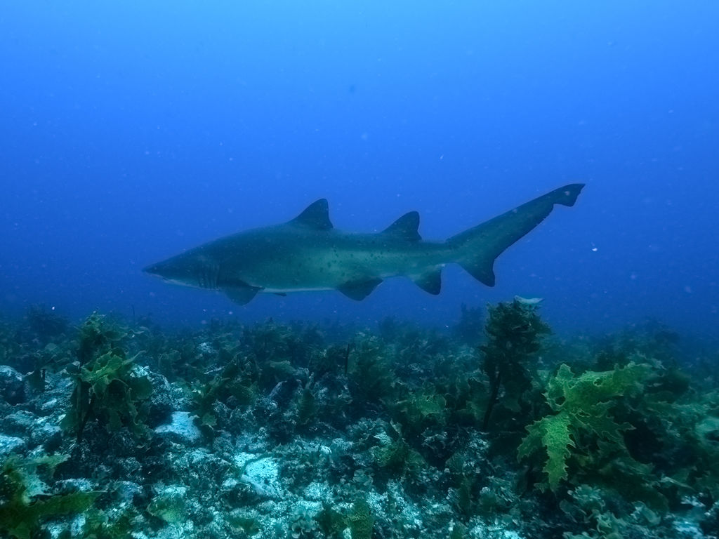 c86d29ae-6bb5-4418-8963-010d4445333f