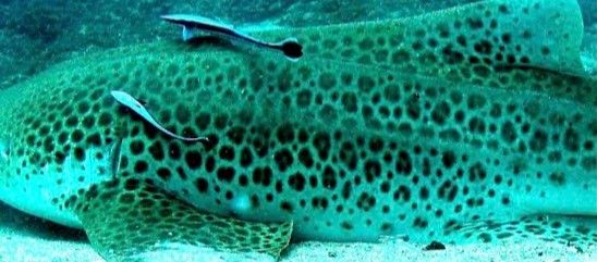 76bf3e23-759f-476e-8b48-c94661c66226