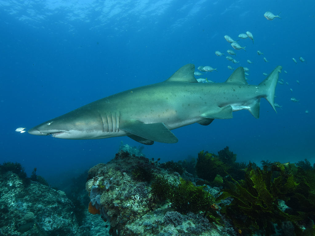 5ec17ae7-7bc7-4738-83cf-b2b4381fb5f2