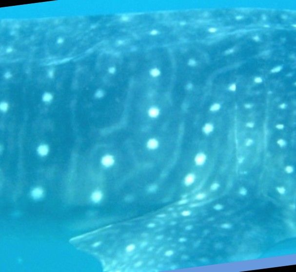 84280268-4526-4ec1-9ee1-346dc605272f