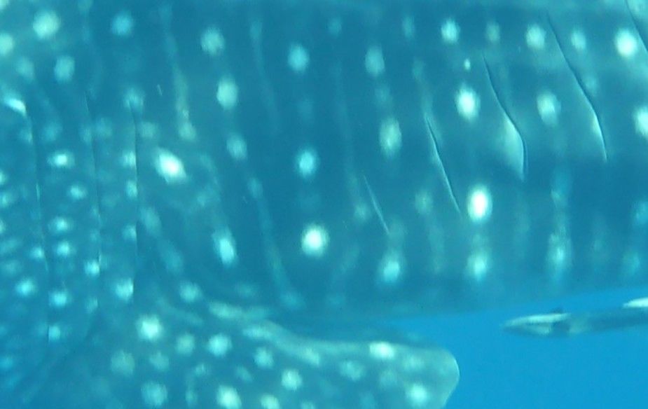 1965e986-0578-44e0-9a28-81b9a436da87