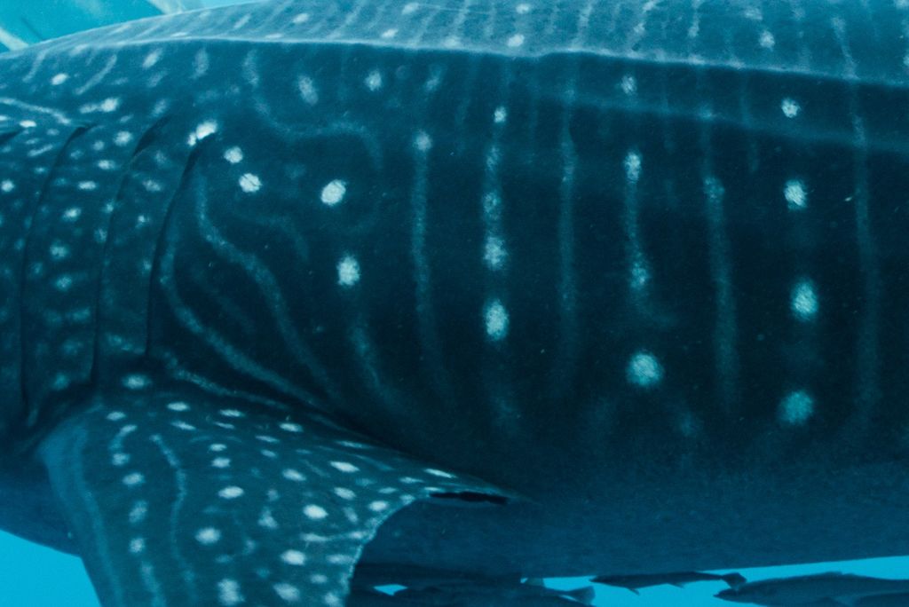 26e16c27-3efb-43c7-9cc9-4527497e59fe