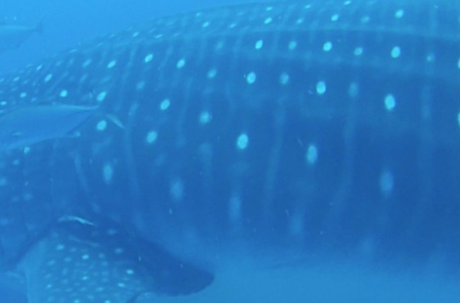 b66bb1a4-4ef8-42f5-8f50-a59f4eff6cdc