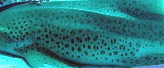 1067015e-2155-4f8f-a219-5eb1221eb571