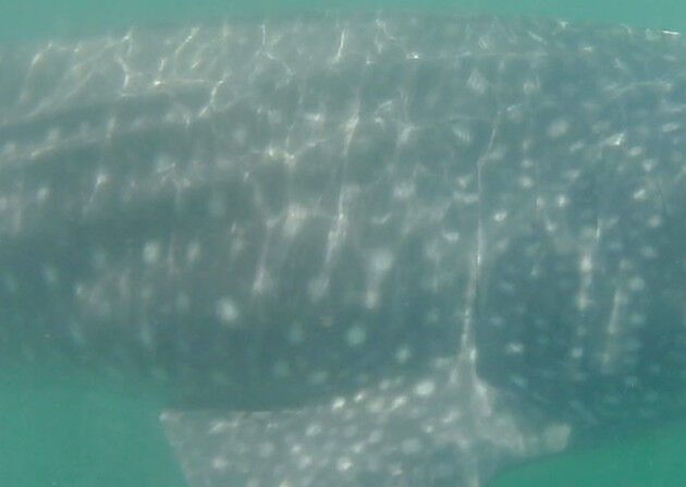 5d04b21a-33b9-4bc1-925f-c1f0379b85d2