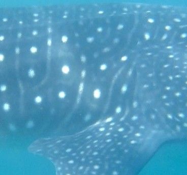 76116003-68e0-4b92-91cd-83c61471cb25