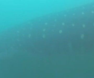 7d6cb9cb-c06c-4db2-9e43-50ba2c359c0b