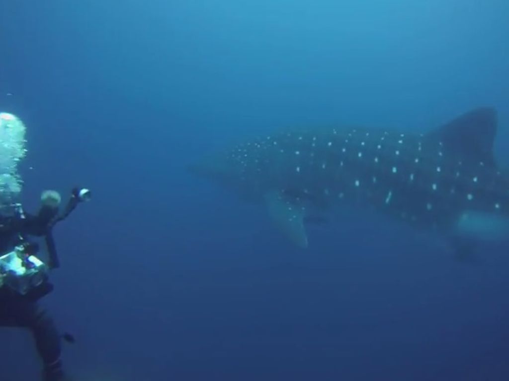 0f9fc7bf-4820-4f3f-a9e2-ee4ce9113c39