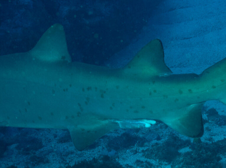 967ae23b-f4fd-412c-92e4-8dda6b60ab97