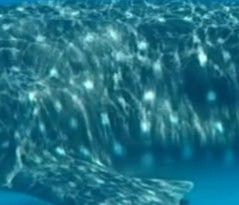 a2133e0f-073a-49e3-a876-b0faa6be0d7e