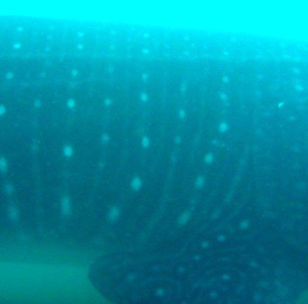 792a6100-5a73-48e6-9a2b-1a97f9929ad6