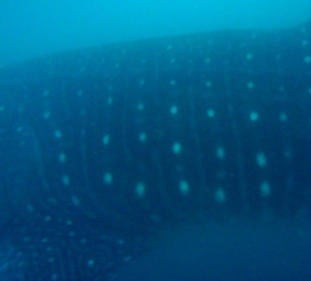 792a6100-5a73-48e6-9a2b-1a97f9929ad6