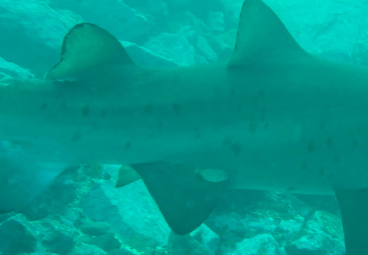 9e4ddc36-64de-4a44-af12-d5ae46377921