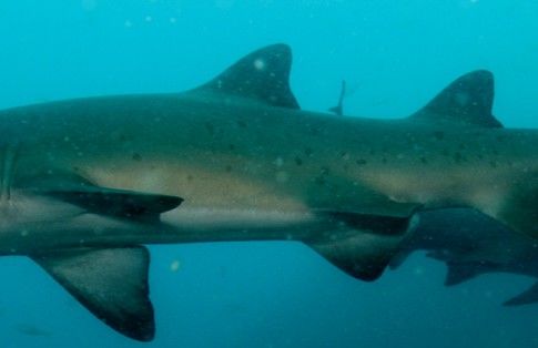 5289f6ae-3db5-4a4a-81c2-2797df46cc68