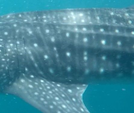 a041e620-9c67-47b1-ab7e-bc611806dc58