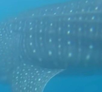 1b8a61bb-8a36-43c7-b20f-0e30d14d7a54