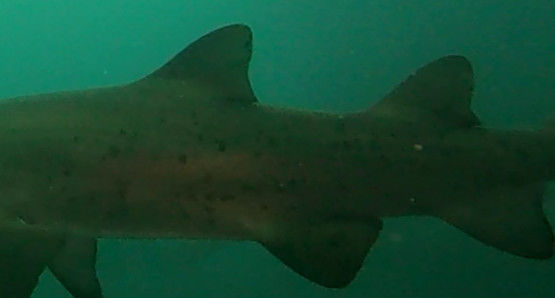 ec3d3636-cee4-4c1a-b366-dda0b8f3b512