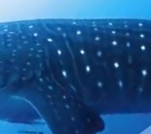 86eb1460-d530-4839-8df4-03a6ac4b4756