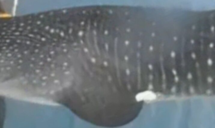 5d2f8daa-e2db-4270-a7ce-ac990dd62508