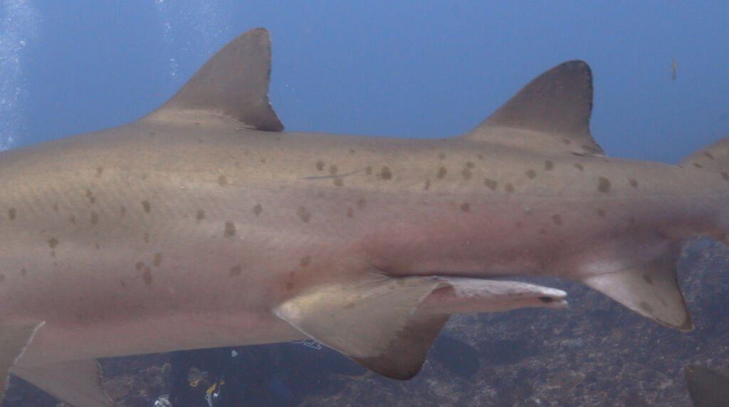 c4bfe670-371a-4716-8bce-1844f0a8802b