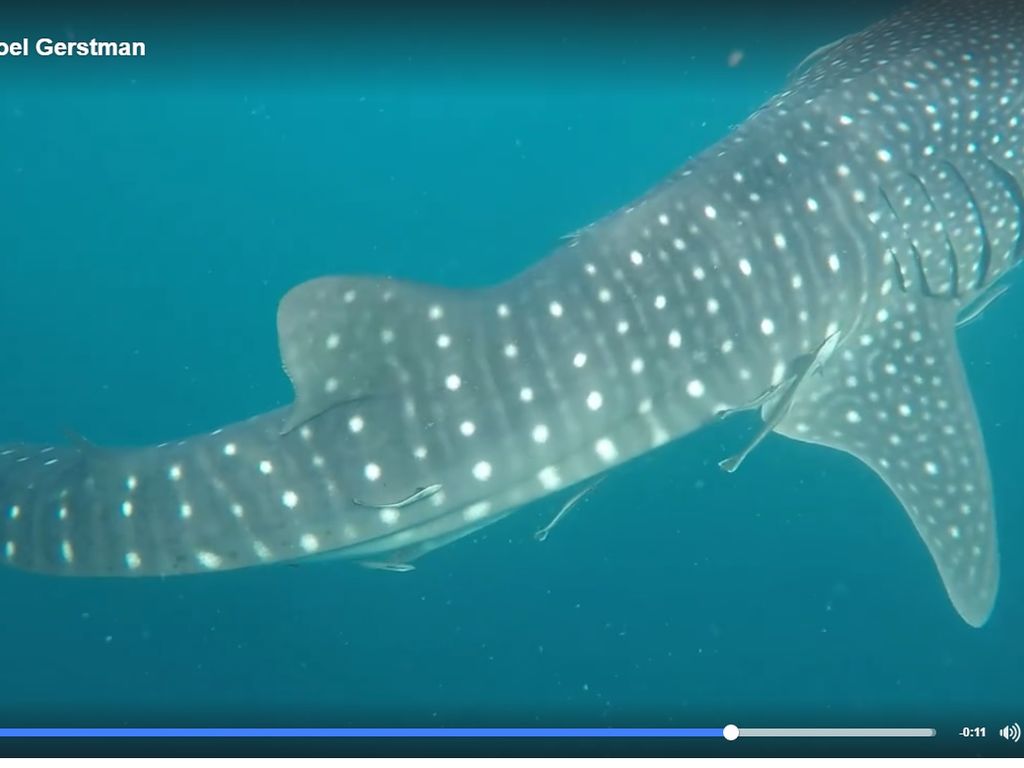 0a43be95-faa0-4a29-8f0d-1851b05d26a8