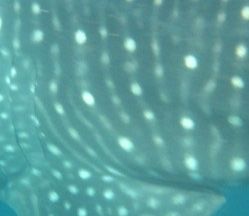 f58a0781-d02f-4b7e-a819-6917ebe82721