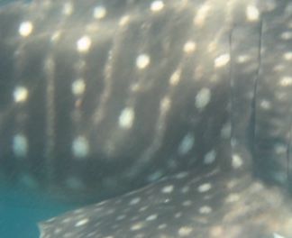 f58a0781-d02f-4b7e-a819-6917ebe82721