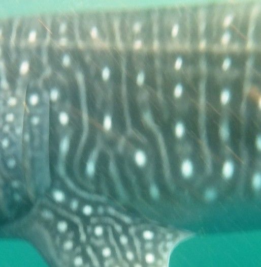 78e6b29a-eac1-4bb1-b531-b00799c27ed1