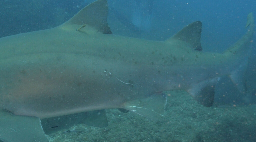 5cc6f5ef-5413-4e97-b4cf-6f9797fab1b7