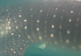 79e22abe-4ad3-42eb-b560-0c3956fa40b3