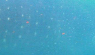 79e22abe-4ad3-42eb-b560-0c3956fa40b3