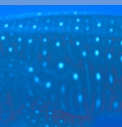 282ce950-57d2-4561-a2fe-7e3b1534c4bd