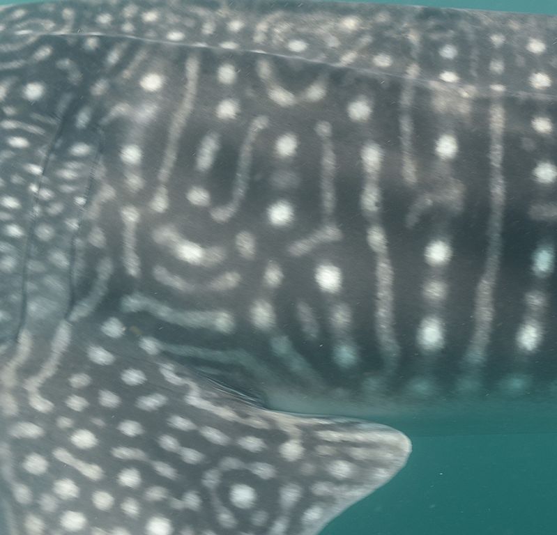 ab3e6943-7180-4dc9-b1a3-1e866b3287db