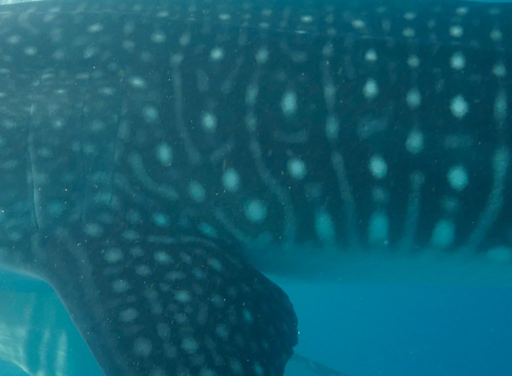 bce95e7b-6bfe-4dc3-a188-37643f225492