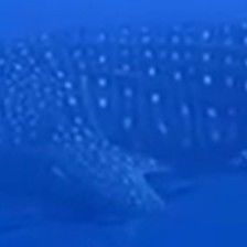 71da05c9-0ff2-43dc-927e-d138441212ac