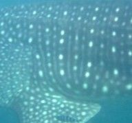 889935eb-dfb2-4d57-91a3-436e8dce957b