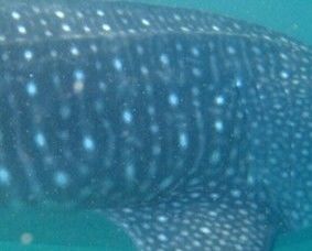 889935eb-dfb2-4d57-91a3-436e8dce957b