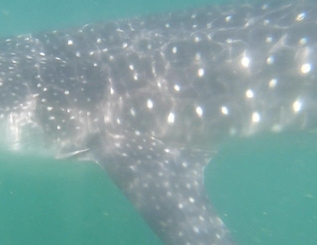 d57df192-d1e4-4a82-a11e-c77b026a4295