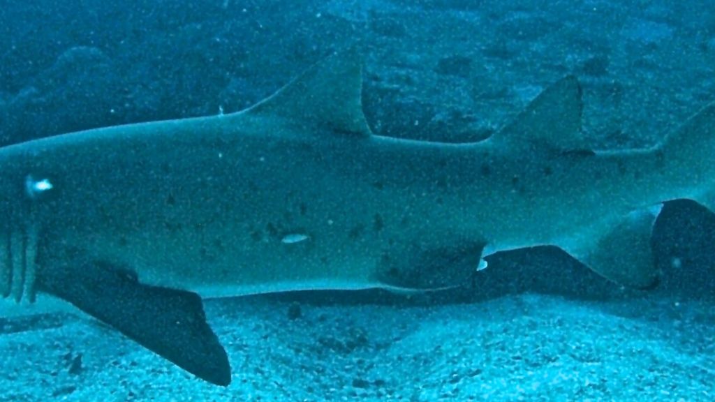 2e645350-a0bc-4116-93b8-376172974b2d