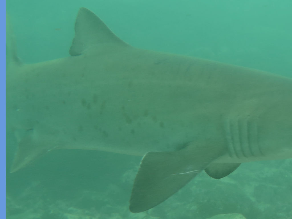 939f3c81-3342-4937-b010-e1b0a1b152ea