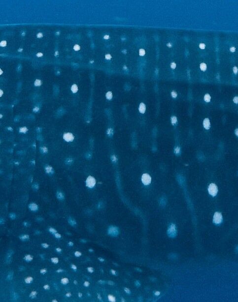 4eb63fb5-838c-4be0-8da1-500876c999ec