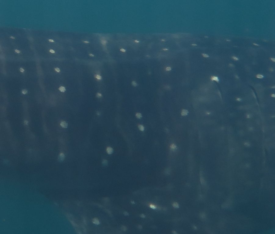 8d2cce25-8d3c-483b-924b-4a5f66941cd3