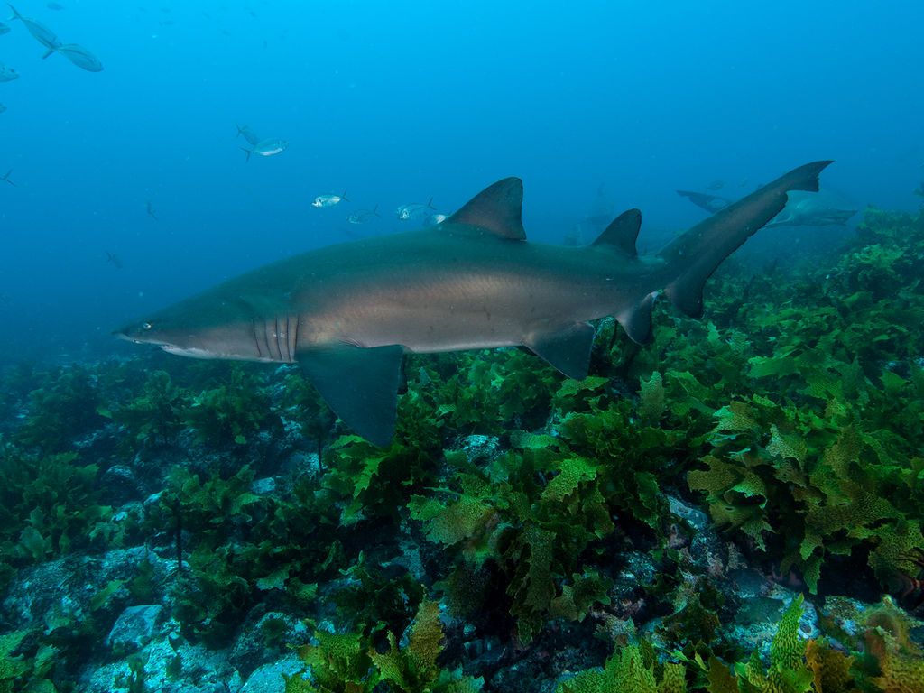 6c259ccf-9526-4238-a740-f2e233940e97