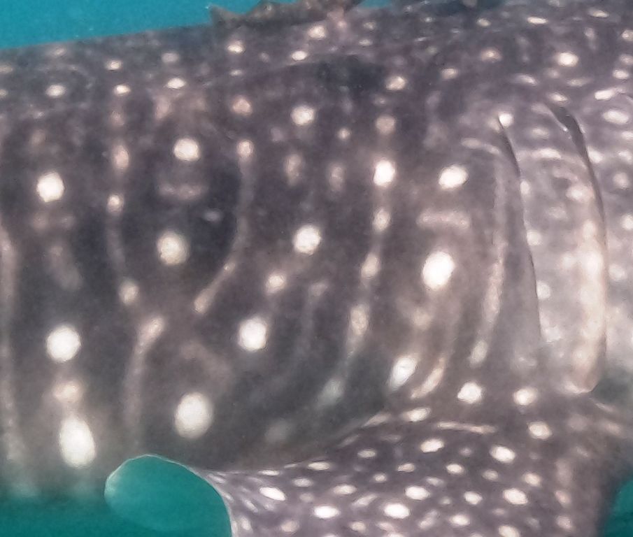 84e652f0-49e7-440b-92b1-1c3684b7900d