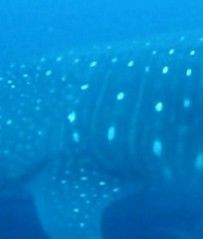 6bab6f23-b6fd-4d3a-8fbf-5560736896e4